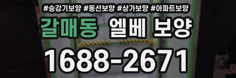 갈매동 엘베 보양