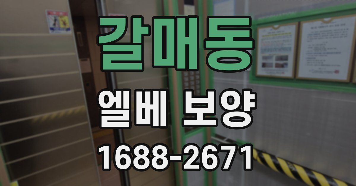 갈매동 엘베 보양