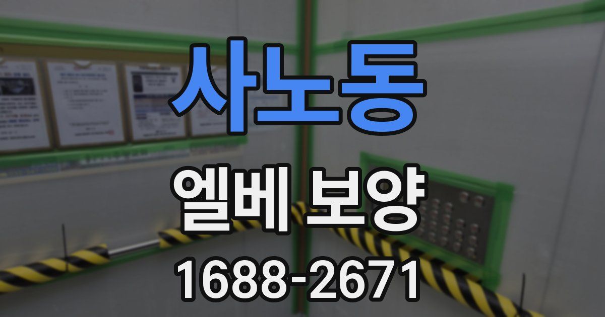 사노동 엘베 보양