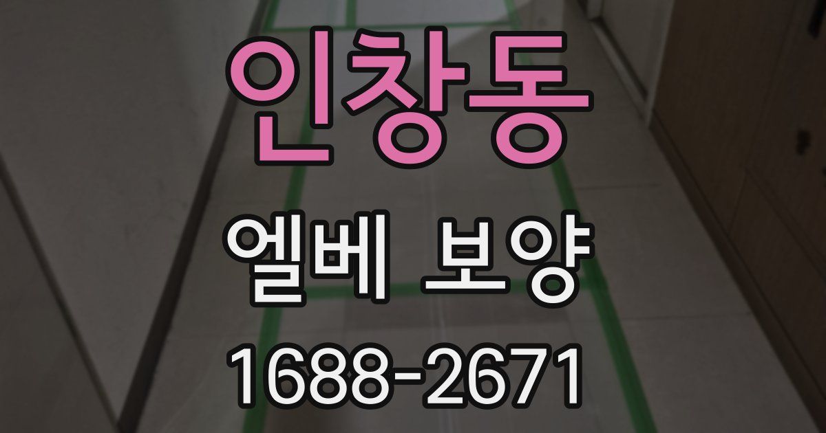 인창동 엘베 보양