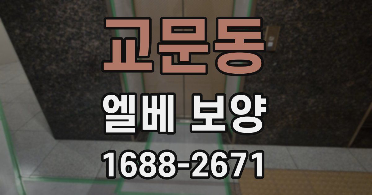 교문동 엘베 보양