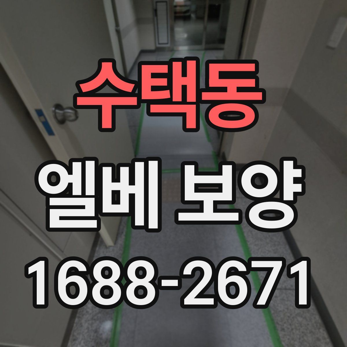 수택동 엘베 보양