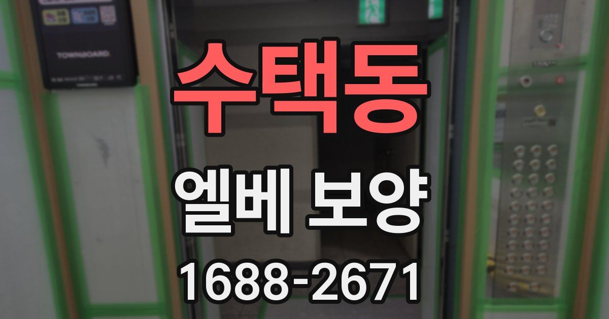 수택동 엘베 보양