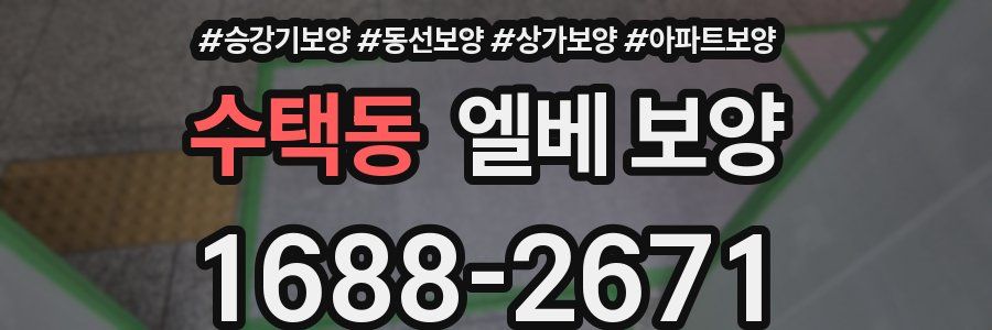 수택동 엘베 보양