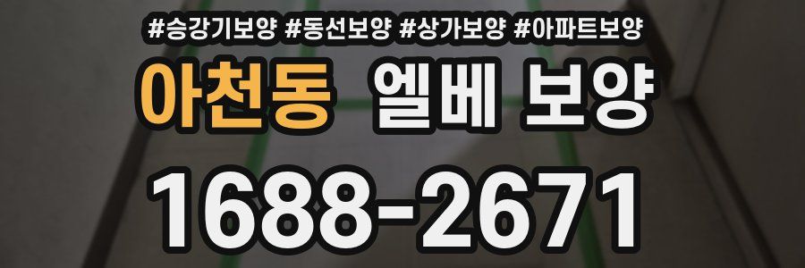 아천동 엘베 보양