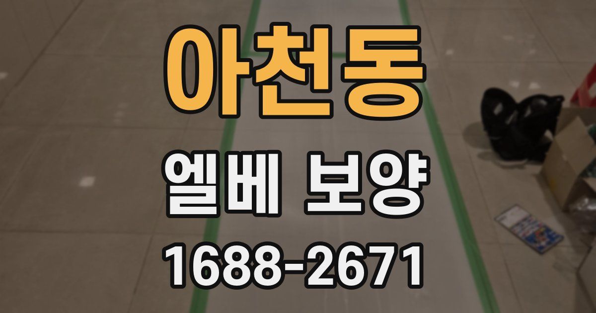 아천동 엘베 보양