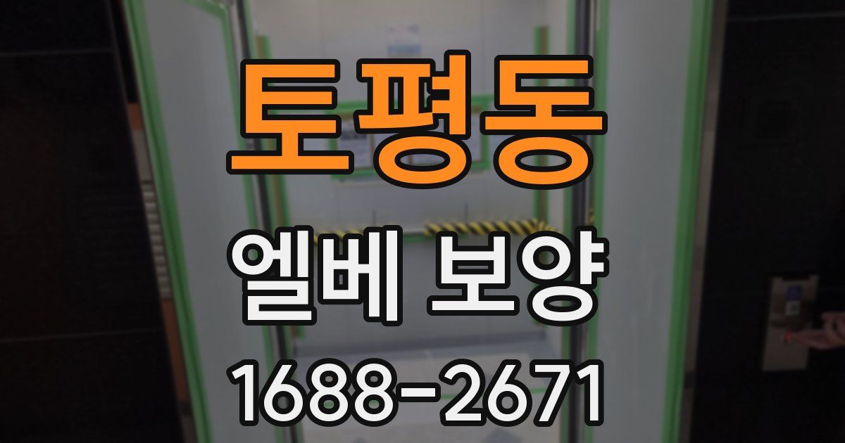토평동 엘베 보양