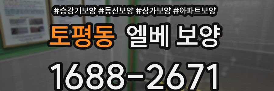토평동 엘베 보양