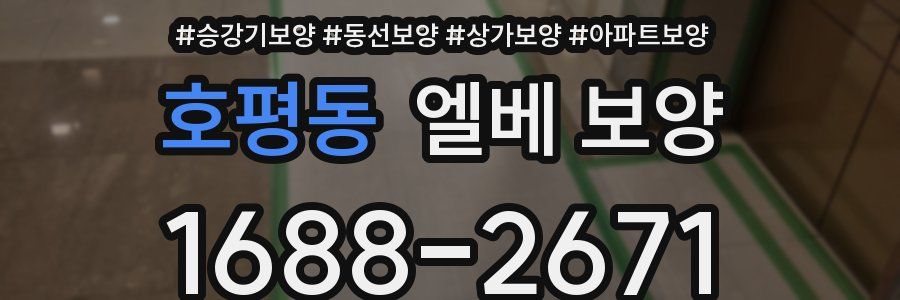 호평동 엘베 보양