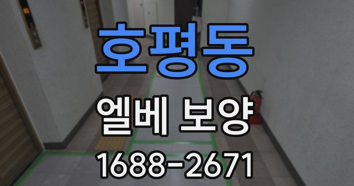 호평동 엘베 보양