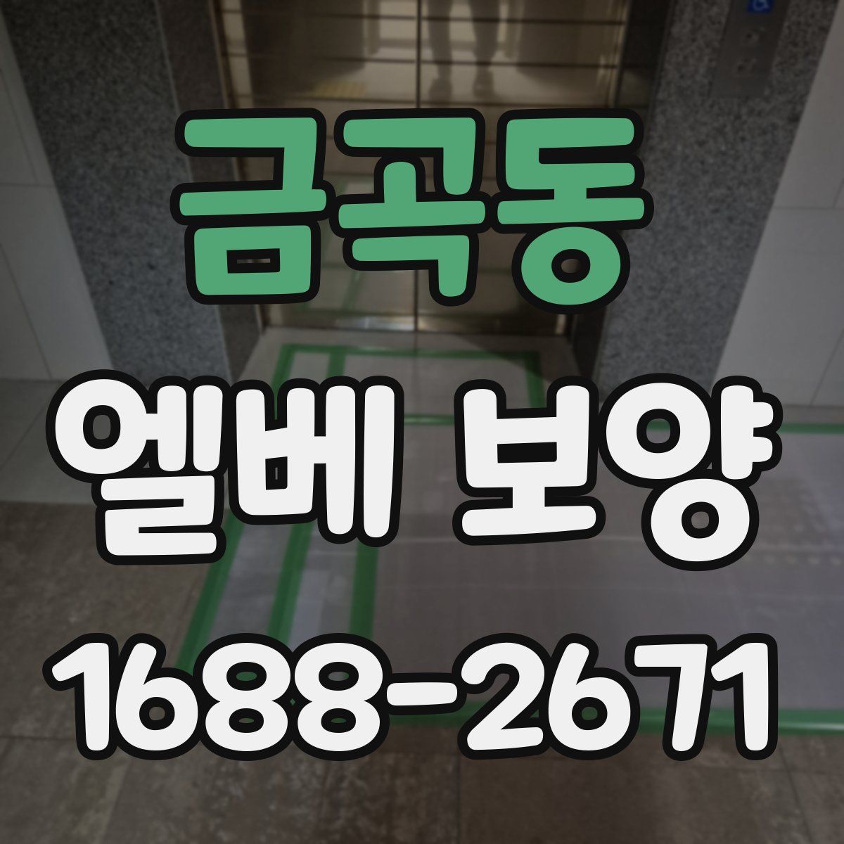 금곡동 엘베 보양