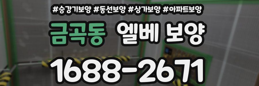 금곡동 엘베 보양