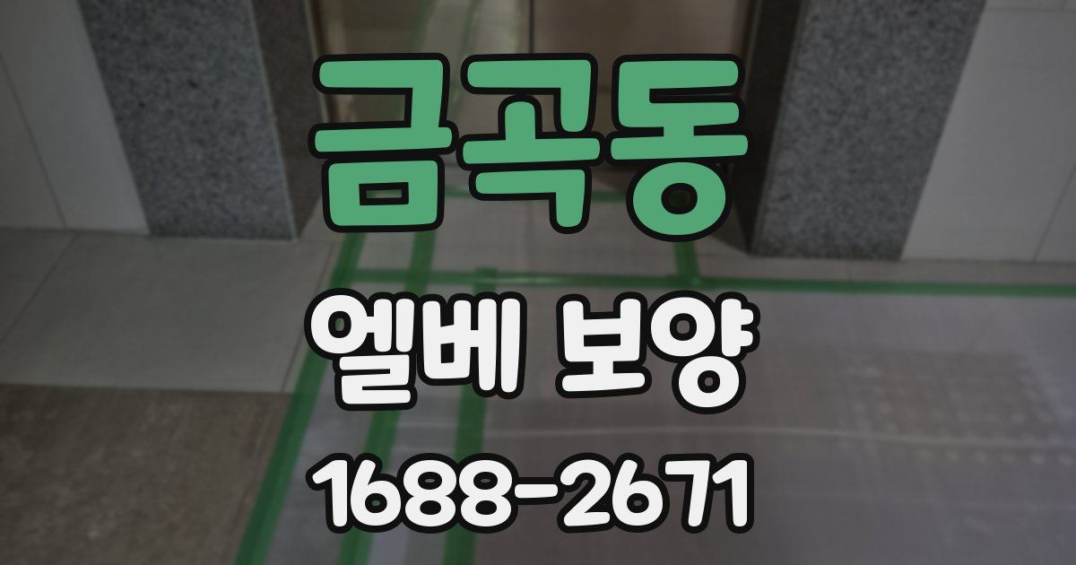 금곡동 엘베 보양