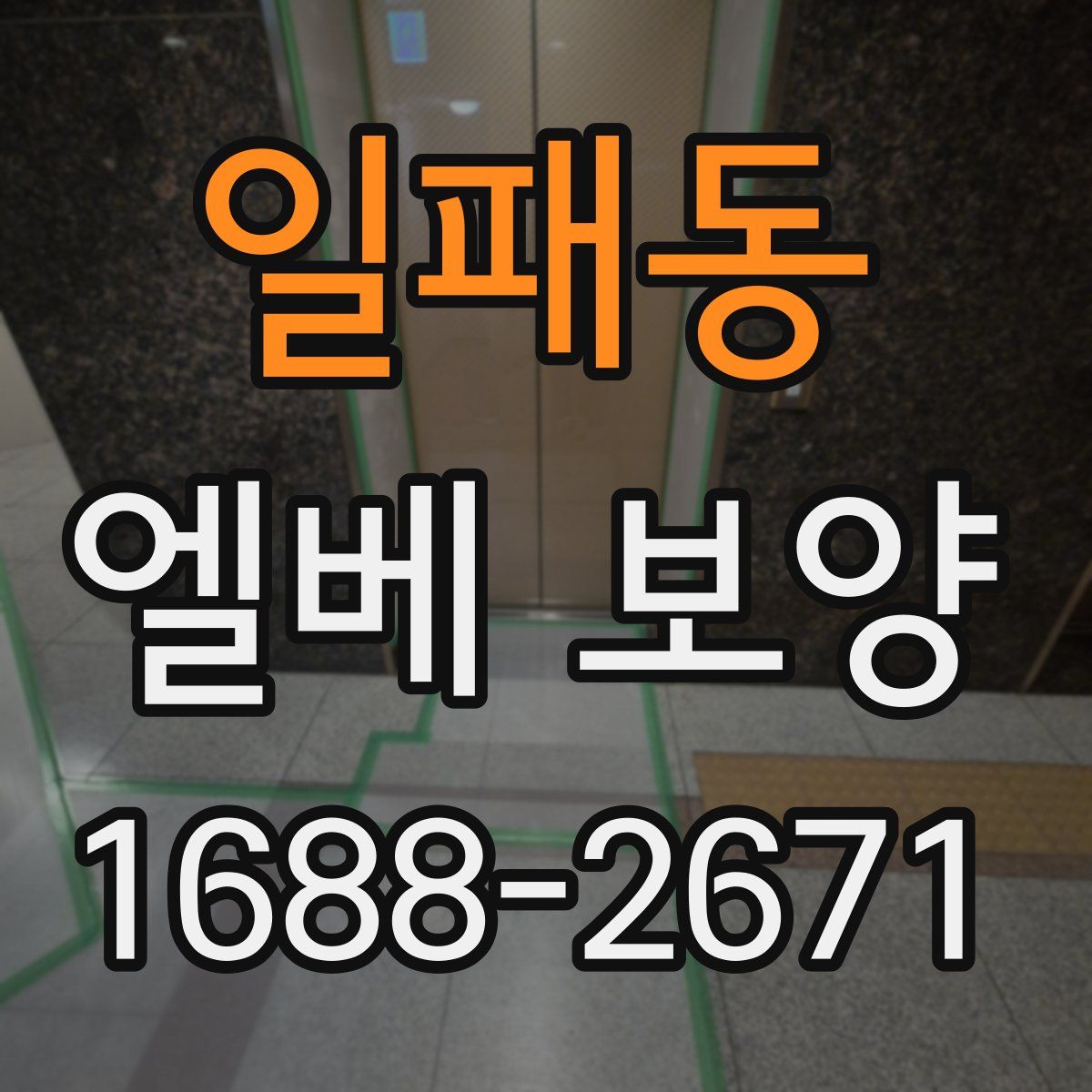 일패동 엘베 보양