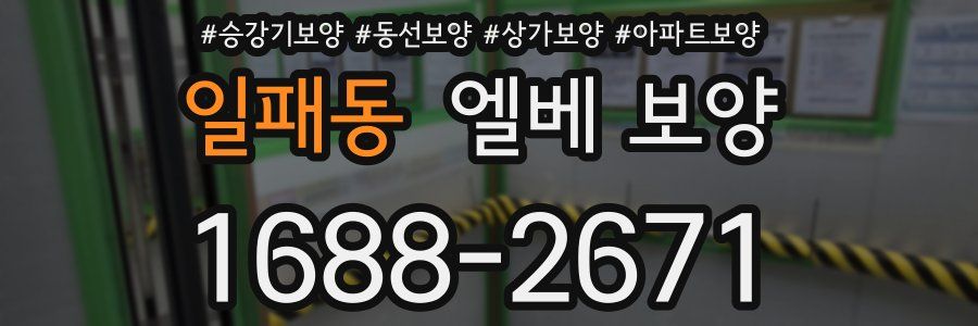 일패동 엘베 보양