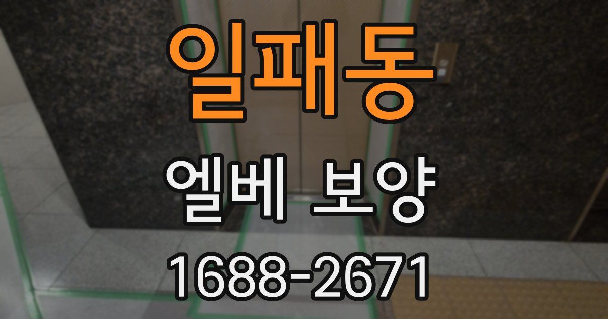 일패동 엘베 보양