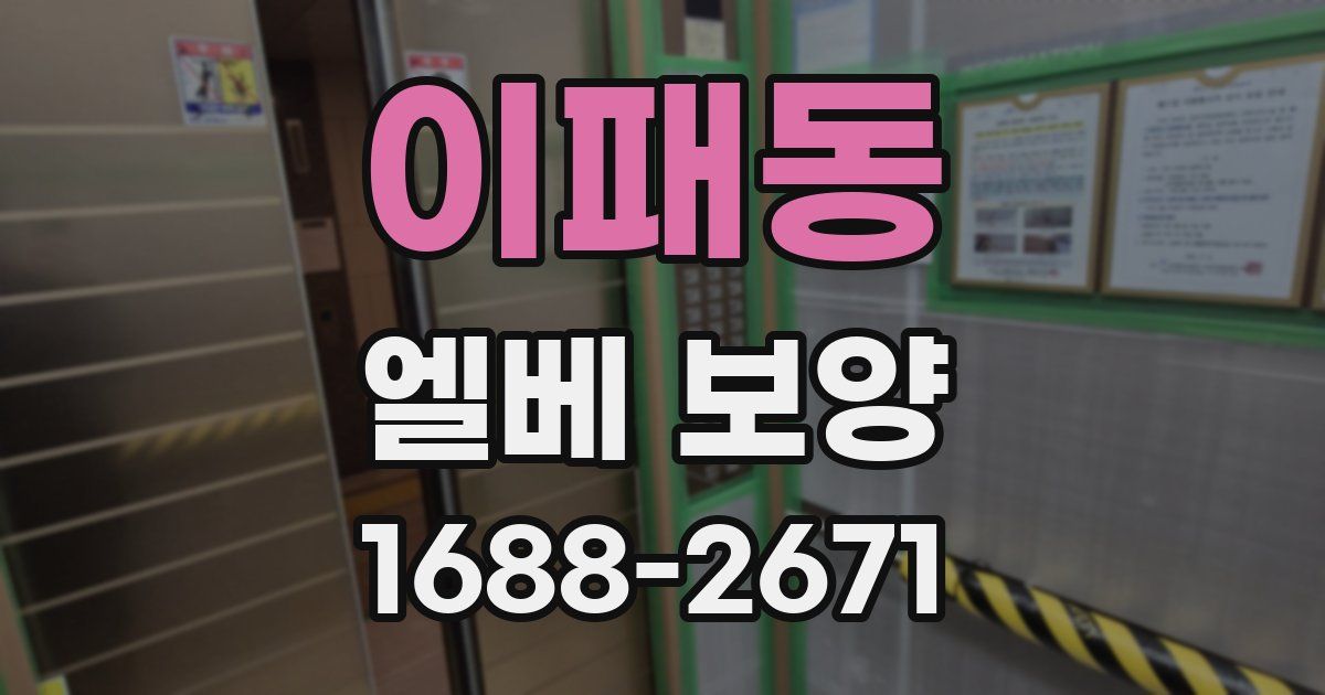 이패동 엘베 보양