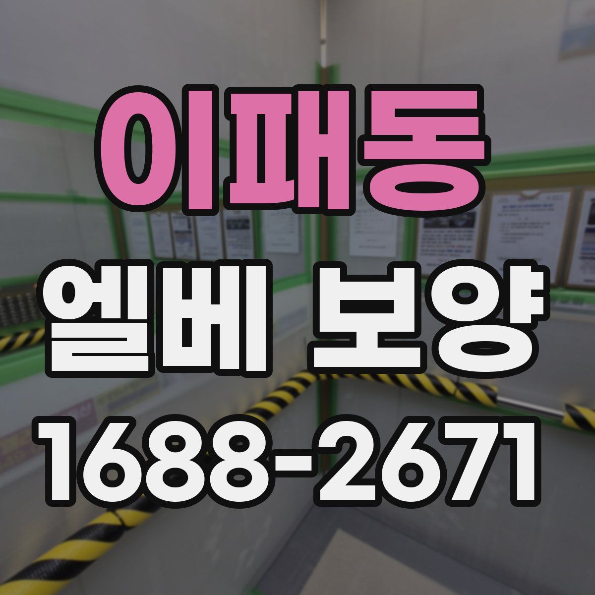 이패동 엘베 보양