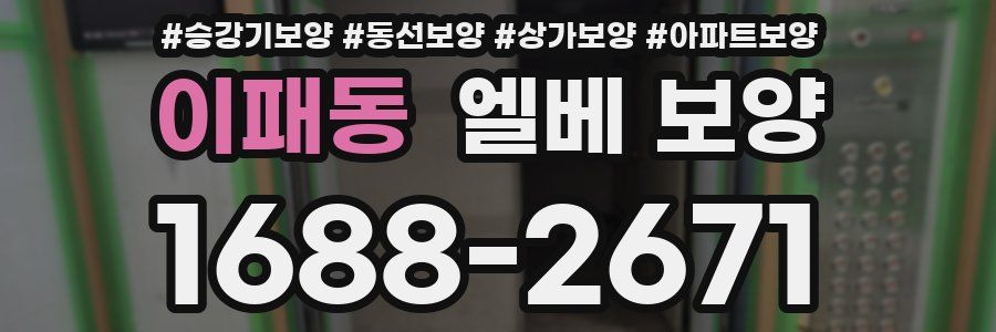 이패동 엘베 보양
