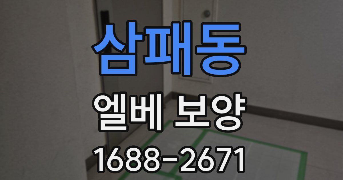 삼패동 엘베 보양
