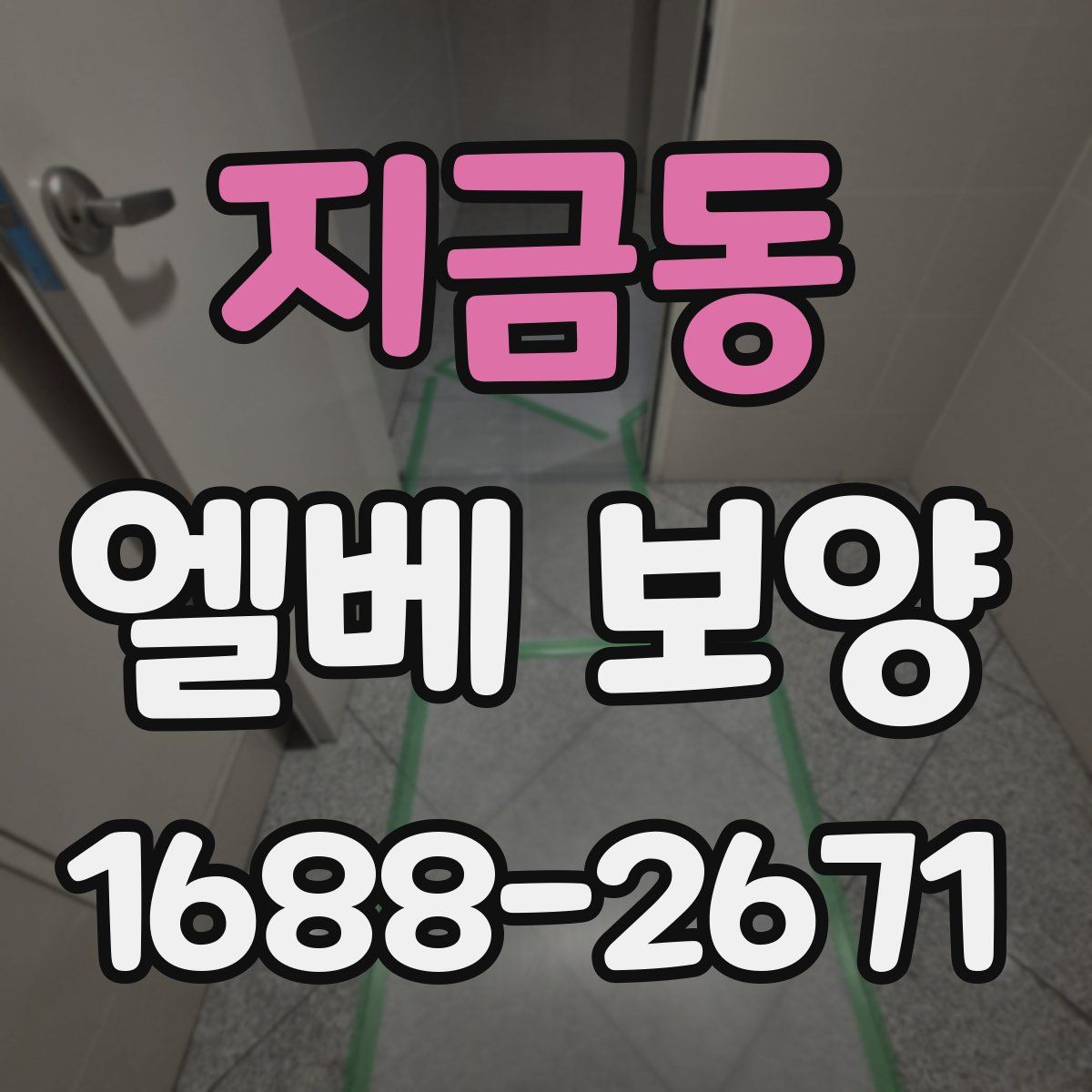 지금동 엘베 보양