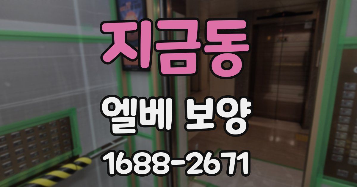 지금동 엘베 보양