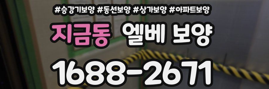 지금동 엘베 보양
