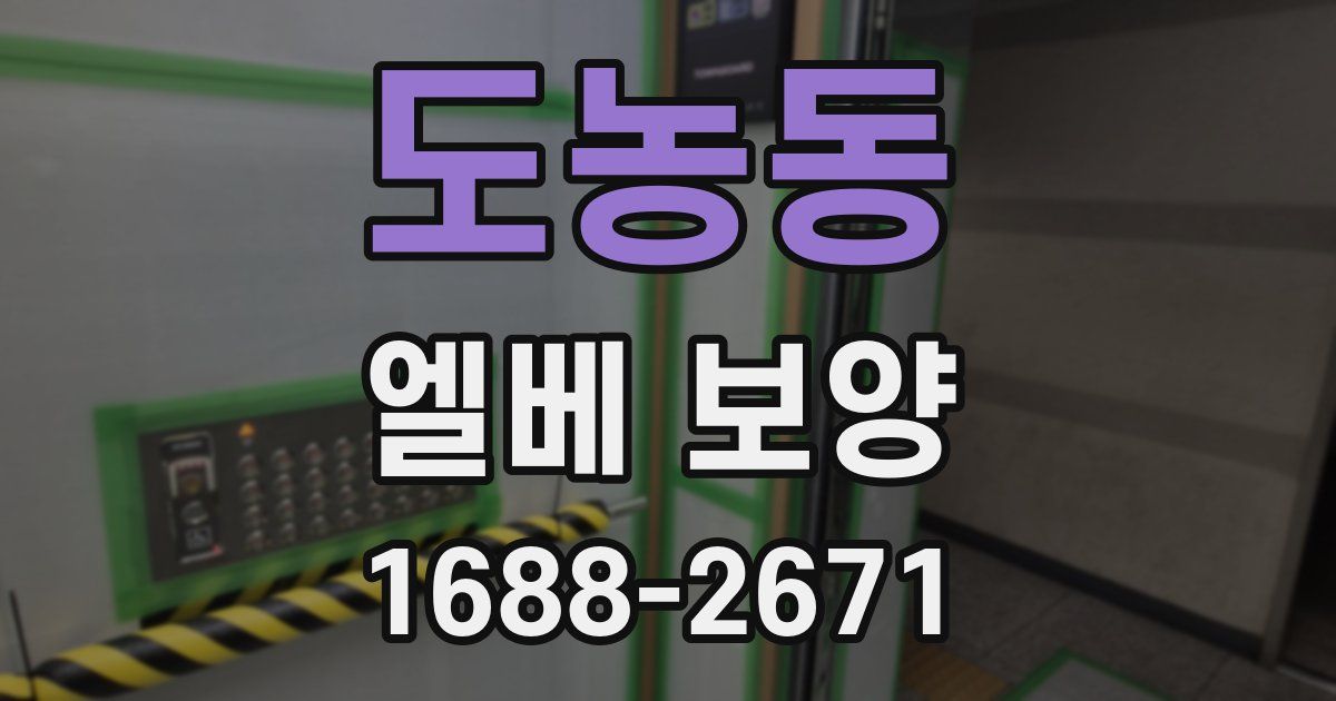 도농동 엘베 보양