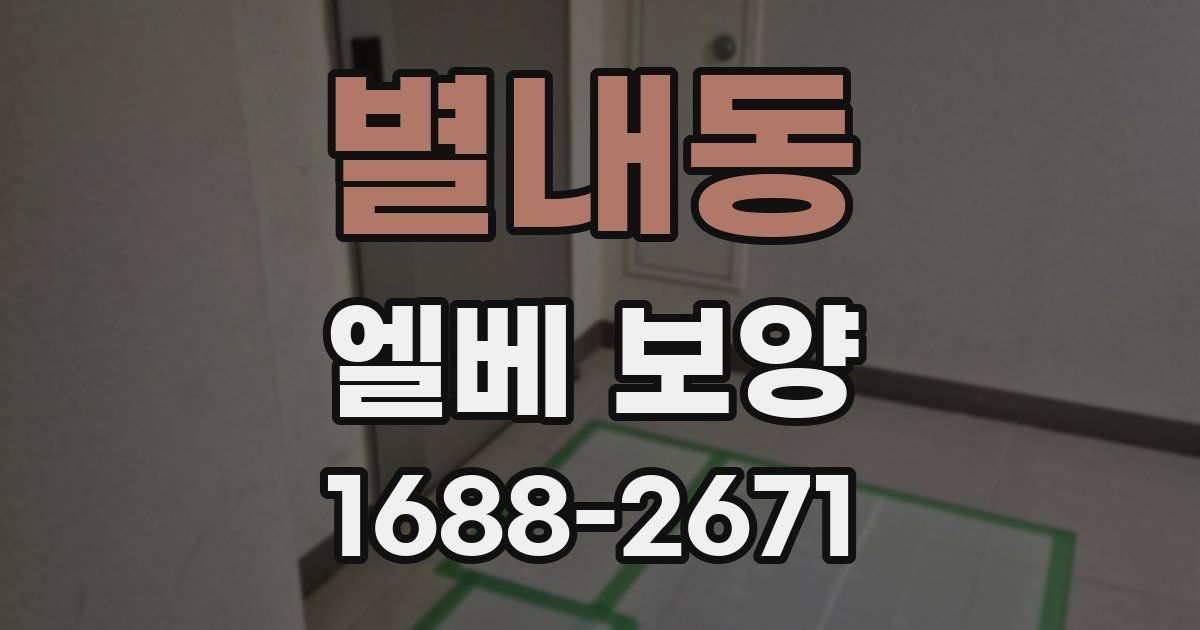 별내동 엘베 보양