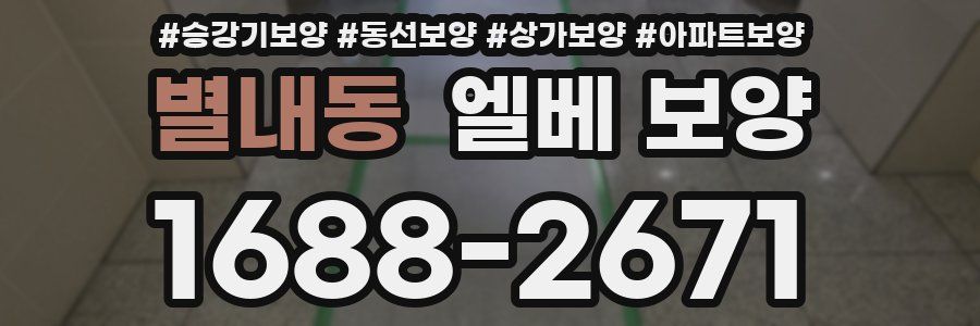별내동 엘베 보양