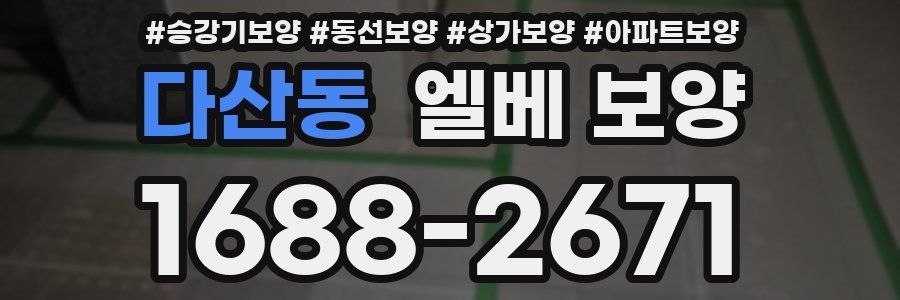 다산동 엘베 보양