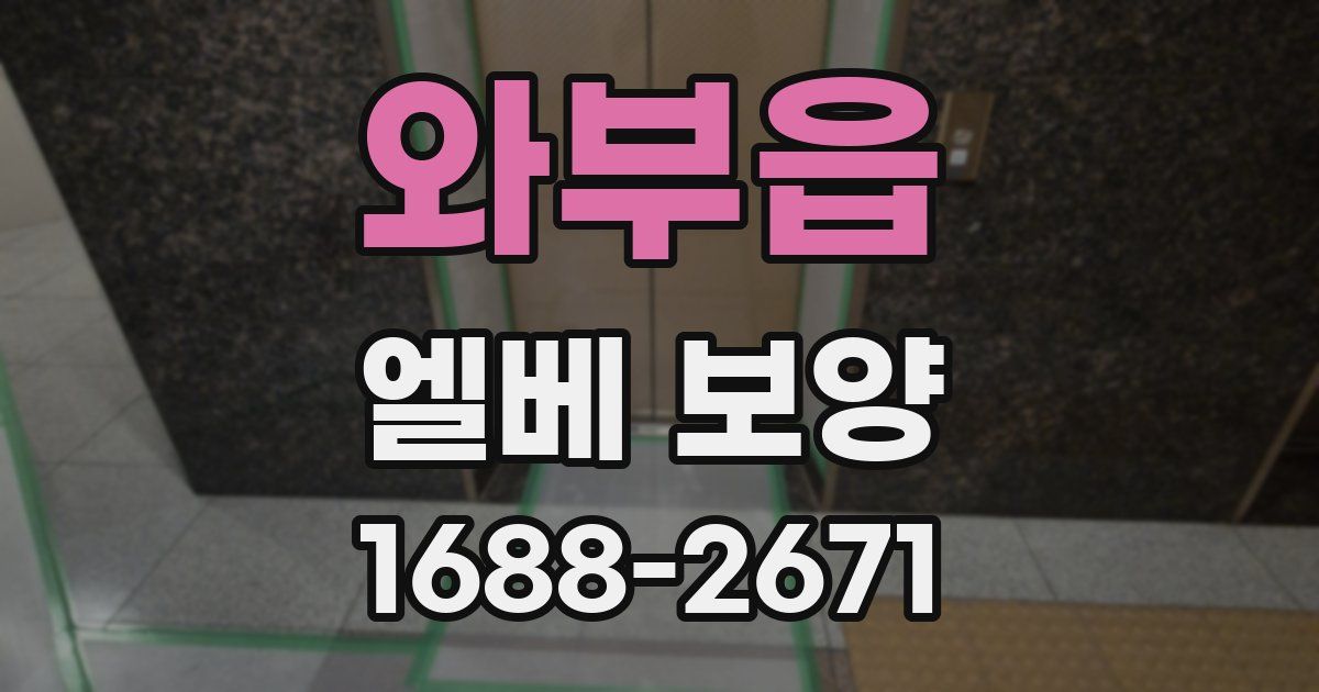 와부읍 엘베 보양