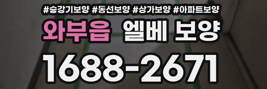 와부읍 엘베 보양