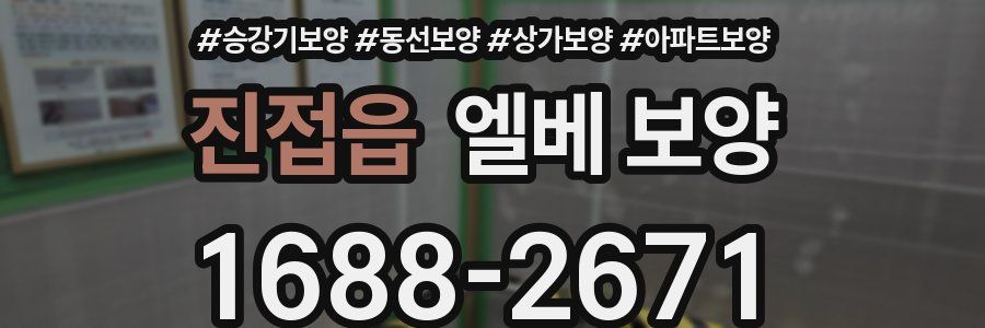 진접읍 엘베 보양