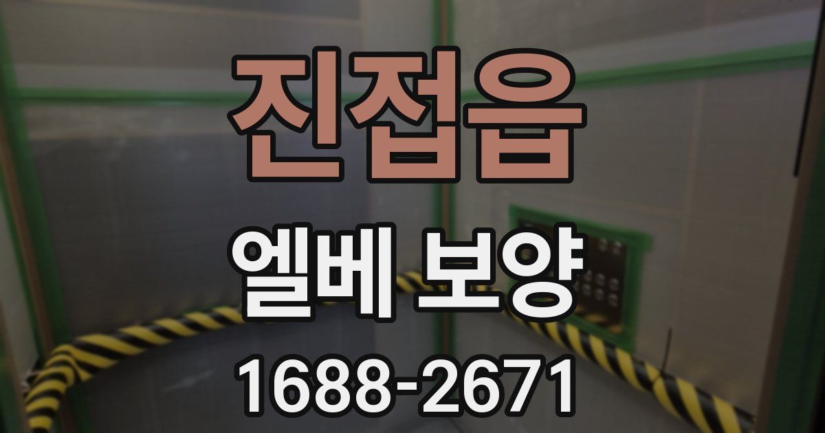 진접읍 엘베 보양