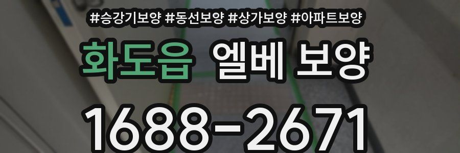 화도읍 엘베 보양