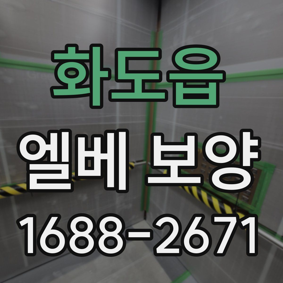 화도읍 엘베 보양