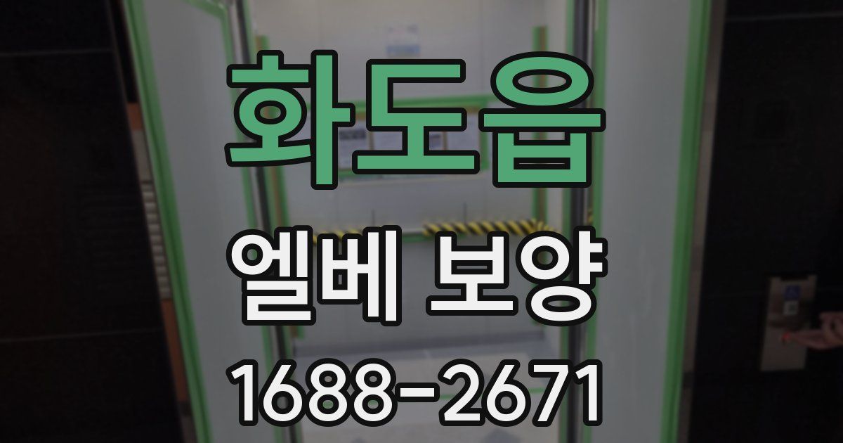 화도읍 엘베 보양