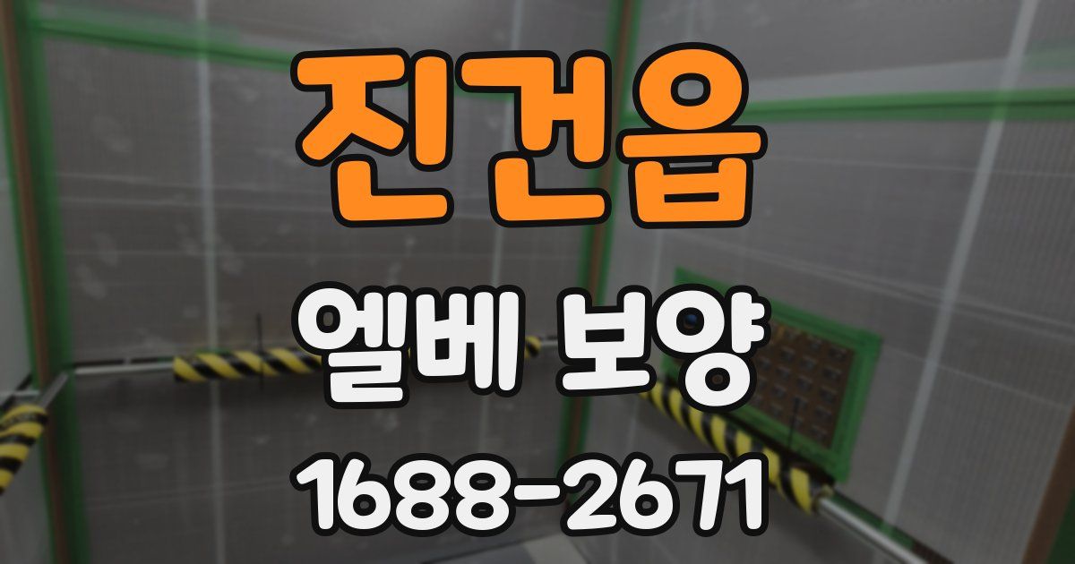 진건읍 엘베 보양