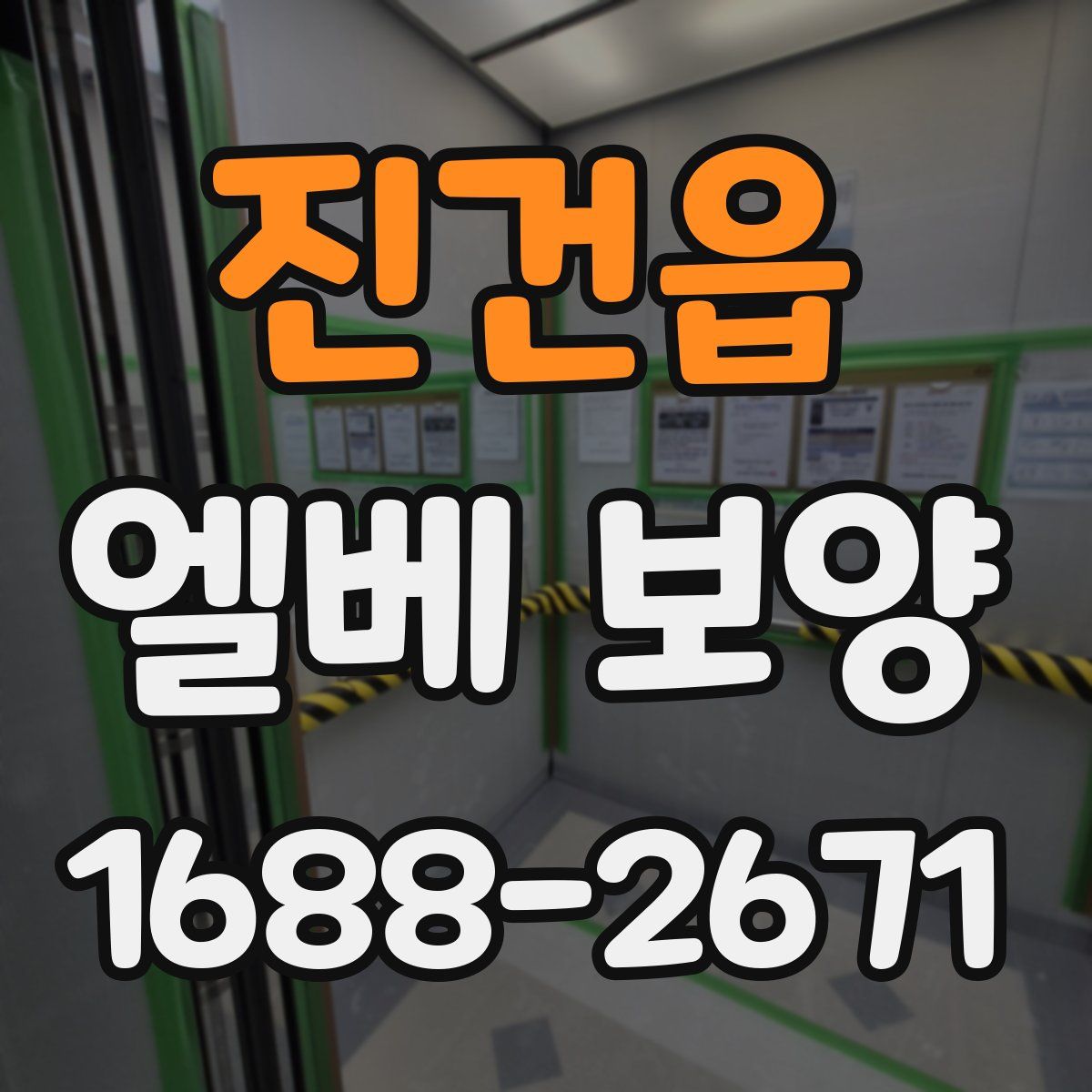 진건읍 엘베 보양