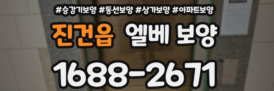 진건읍 엘베 보양