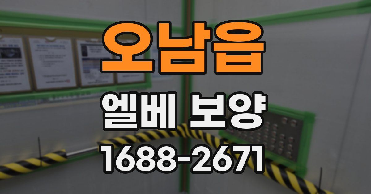 오남읍 엘베 보양