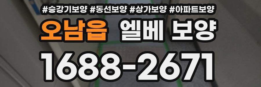 오남읍 엘베 보양