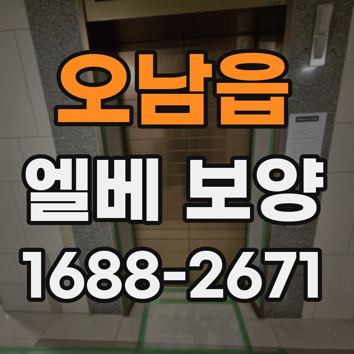 오남읍 엘베 보양