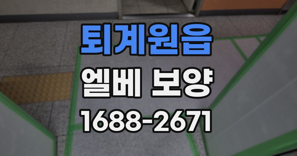 퇴계원읍 엘베 보양