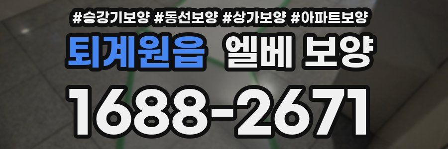 퇴계원읍 엘베 보양