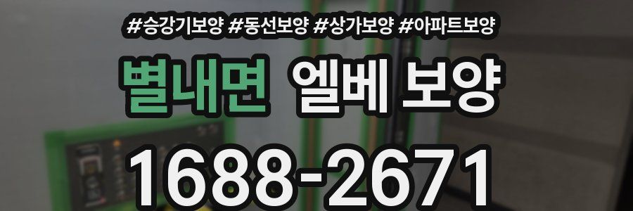 별내면 엘베 보양