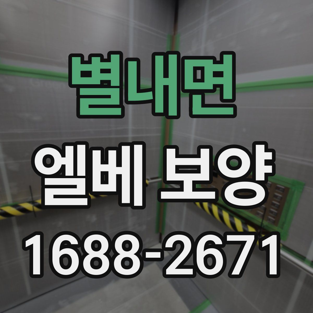 별내면 엘베 보양