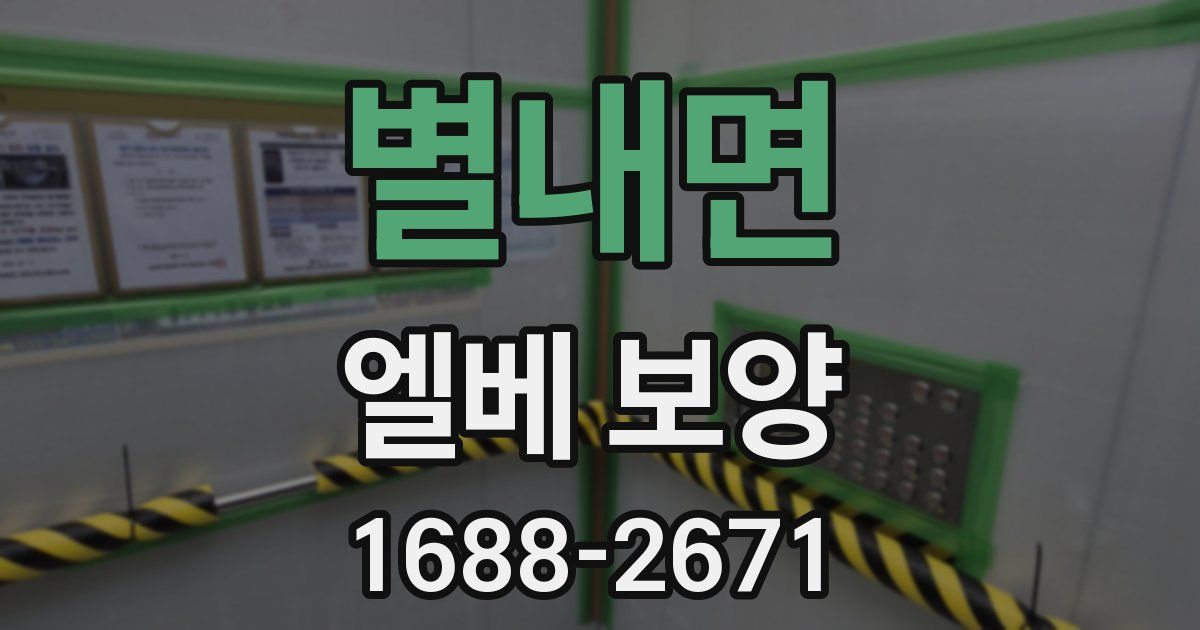 별내면 엘베 보양