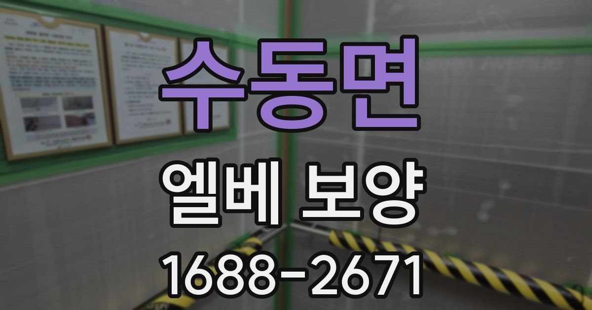 수동면 엘베 보양
